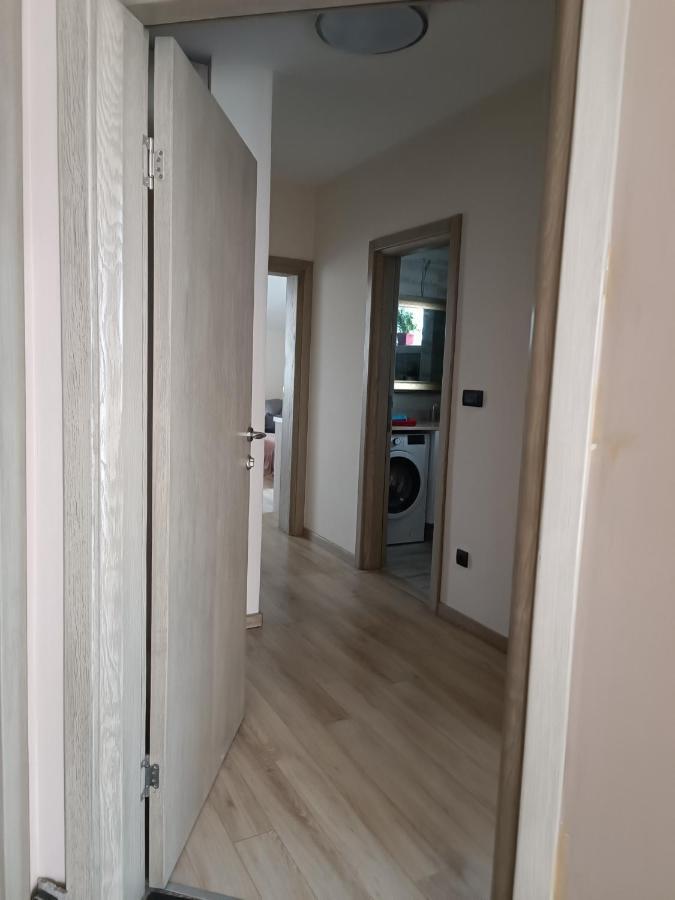 Ivana Beograd Eksteriør billede